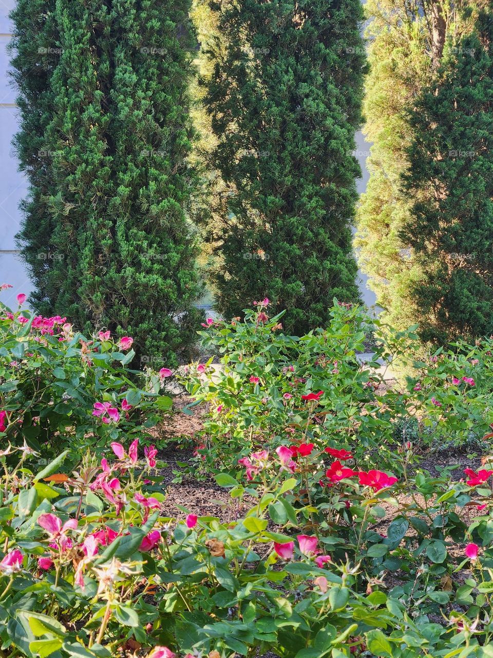 flower garden and trees urban landscaping