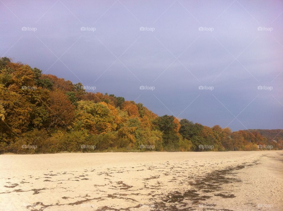 Landscape, Water, No Person, Tree, Beach