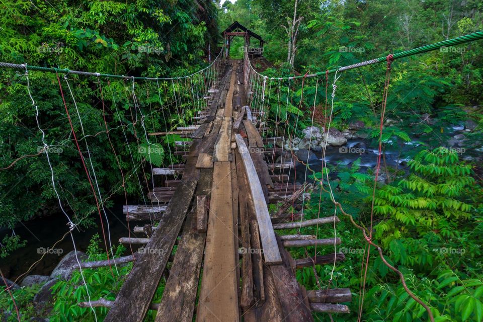 Suspension bridge on a tropical forest river