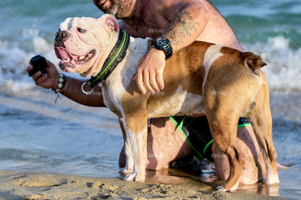 Bulldog bañandose en el mar con su dueño