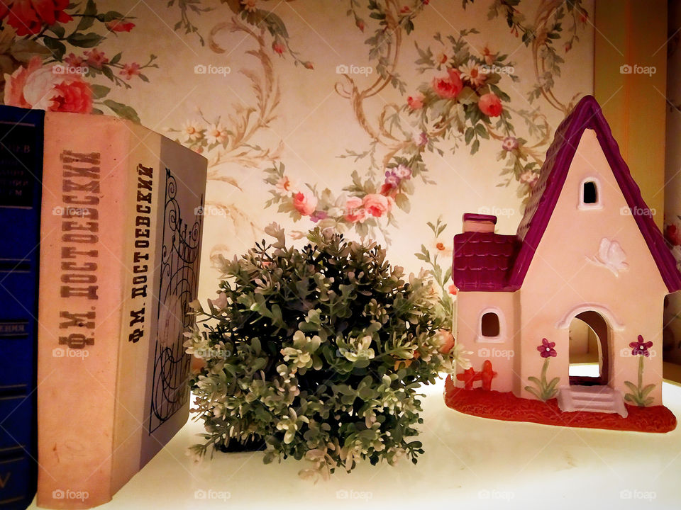 On the shelf: books, a green flower and a toy house