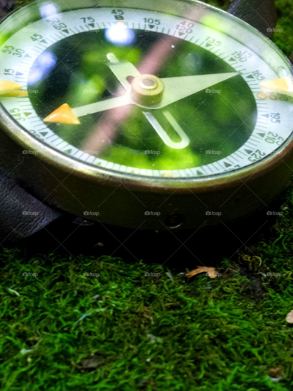 The compass that lies on the green moss.  Glare on the surface of the compass of the surrounding trees