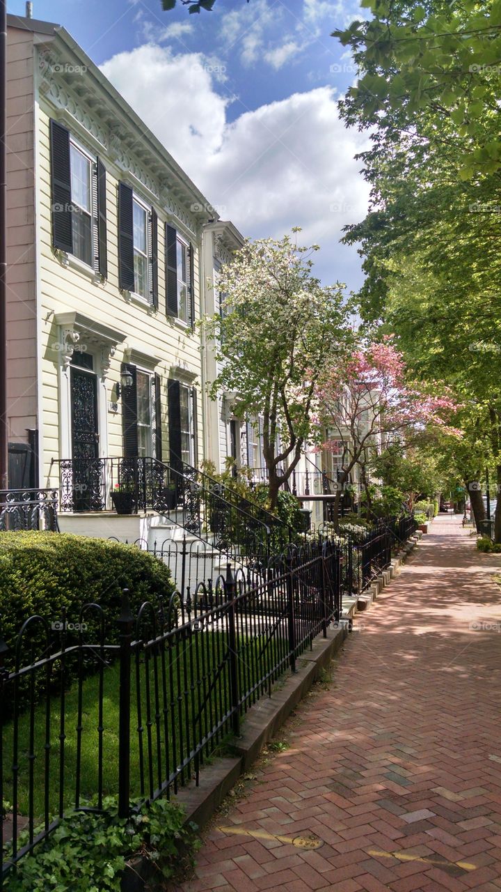 Georgetown . lovely 
