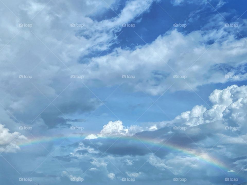 Rainbow on a cloudy day! 