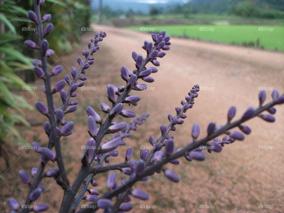 Onde se vai a lugar nenhum.
