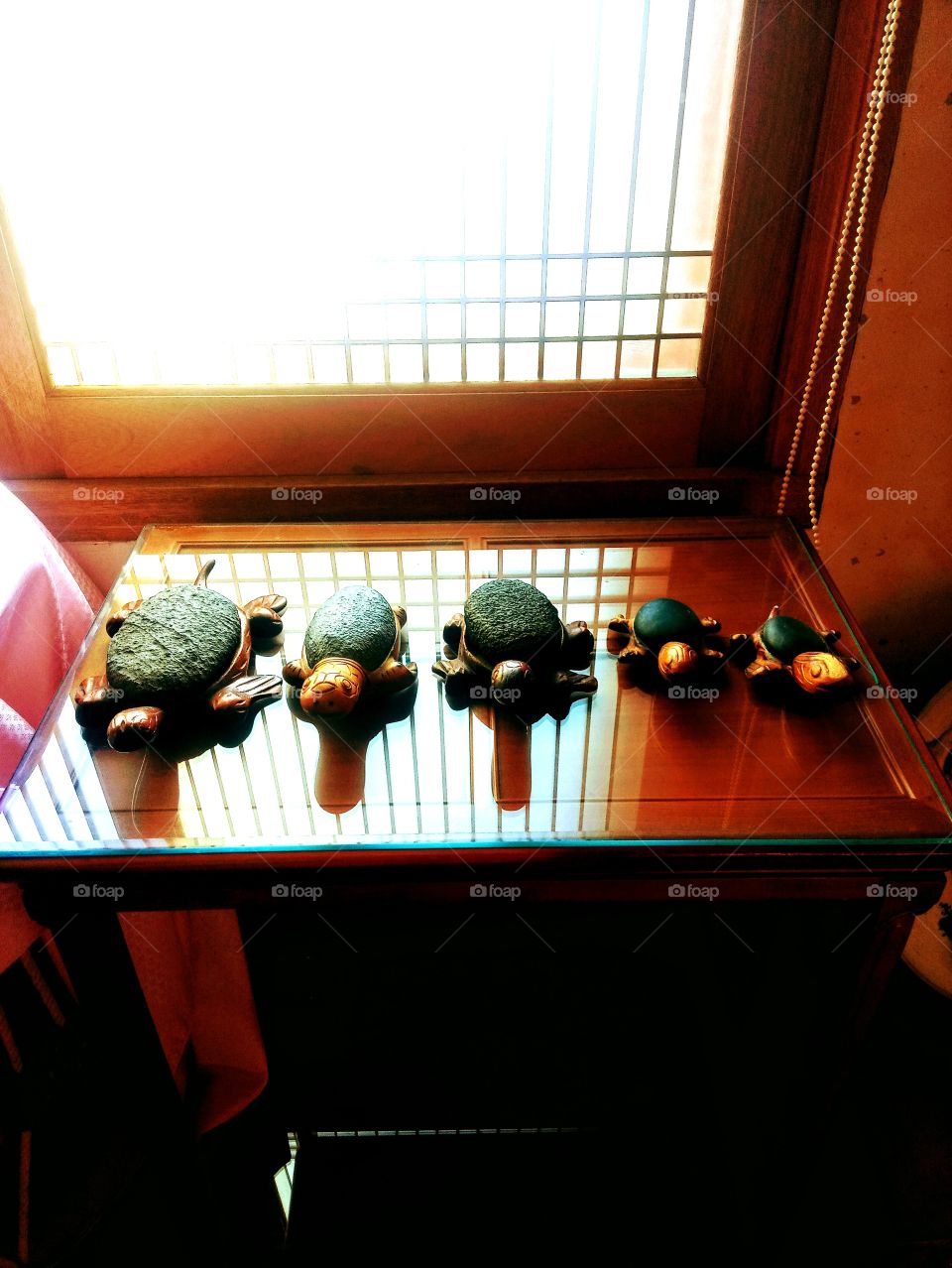 The Turtle shape which is made from wood,  the stones at their back  and the shadows of lines from the window.