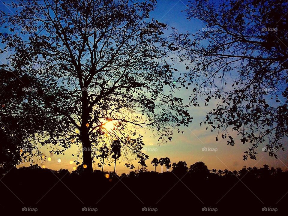 sunset nature landscape silhouette 