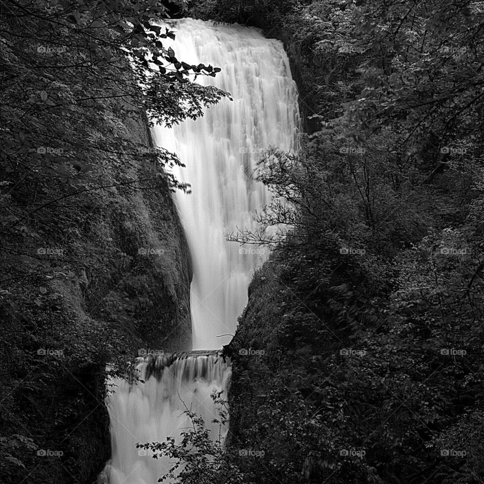 A two stage waterfall in the Columbia River Gorge in Northwestern Oregon. 