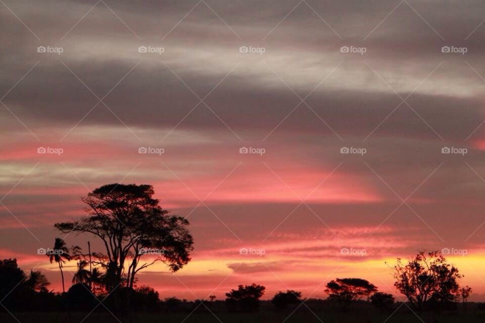 Sunset in bahia. Sunset in my friends farm. Bahia- Brasil