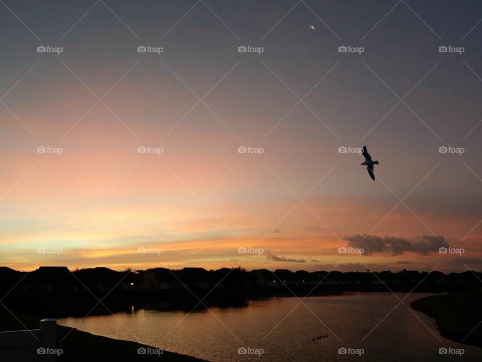 dawn lights united states melbourne lake by mpulgar