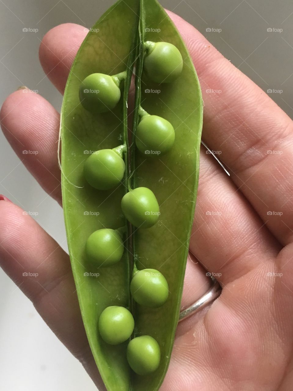 Delicious peas pulled from the garden