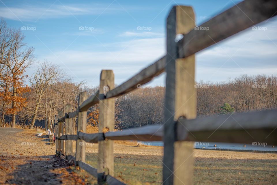 Wood fence 