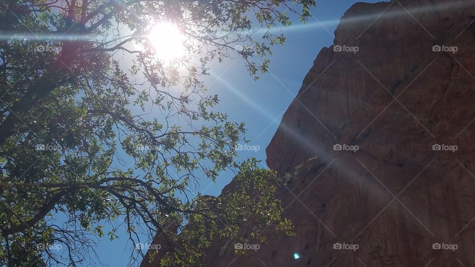 The sun peeking through the trees at Garden of the Gods Park in Colorado