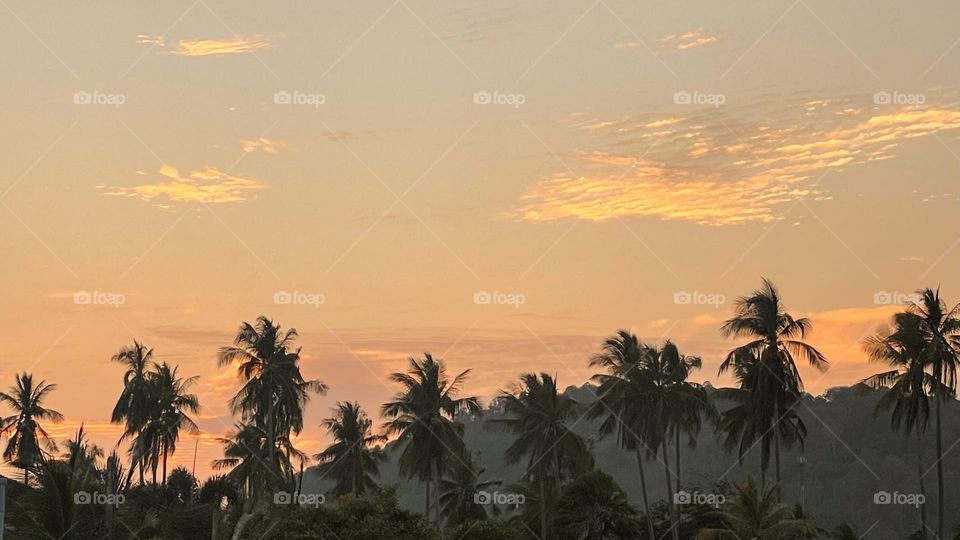 Tropical sunset