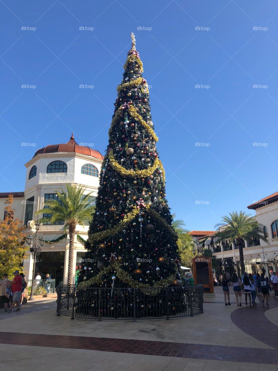 giant Christmas tree