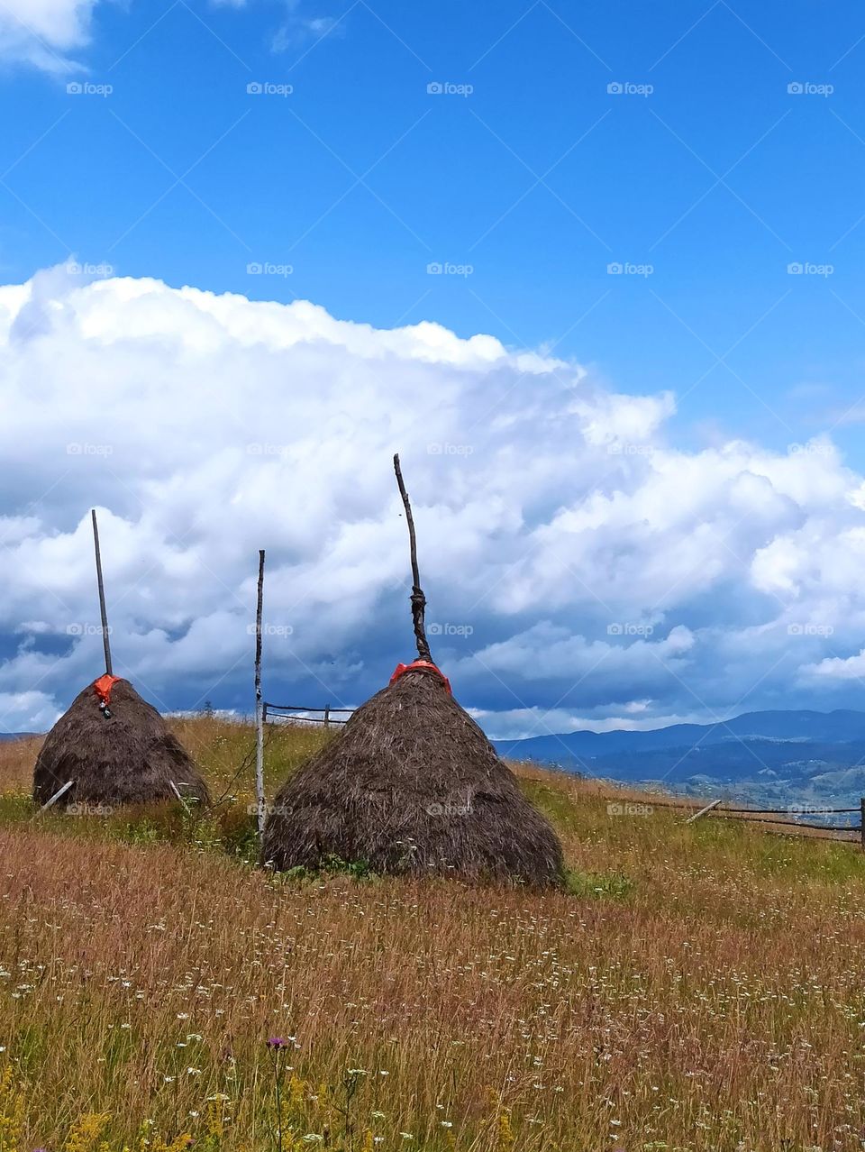 Your favourite travel destination
My beloved Carpathians. Green flower meadows. Cows with bells around their necks. Unforgettable trip across Ukraine. Mountains Dragobrat. Magnificent nature.