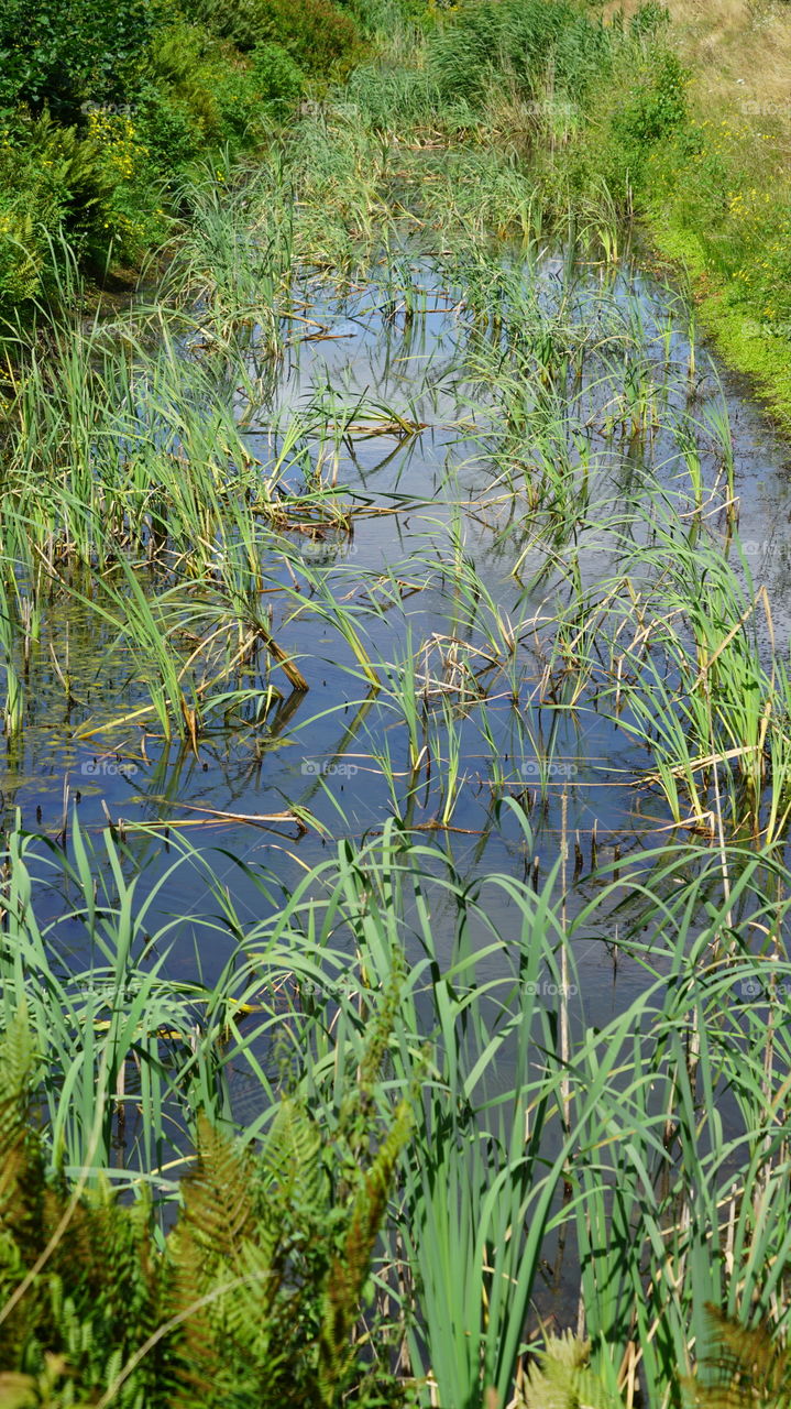 Pool in a park in Belgium