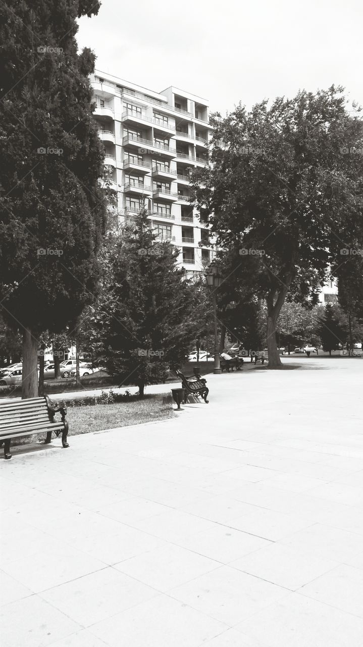 Building in front of the park