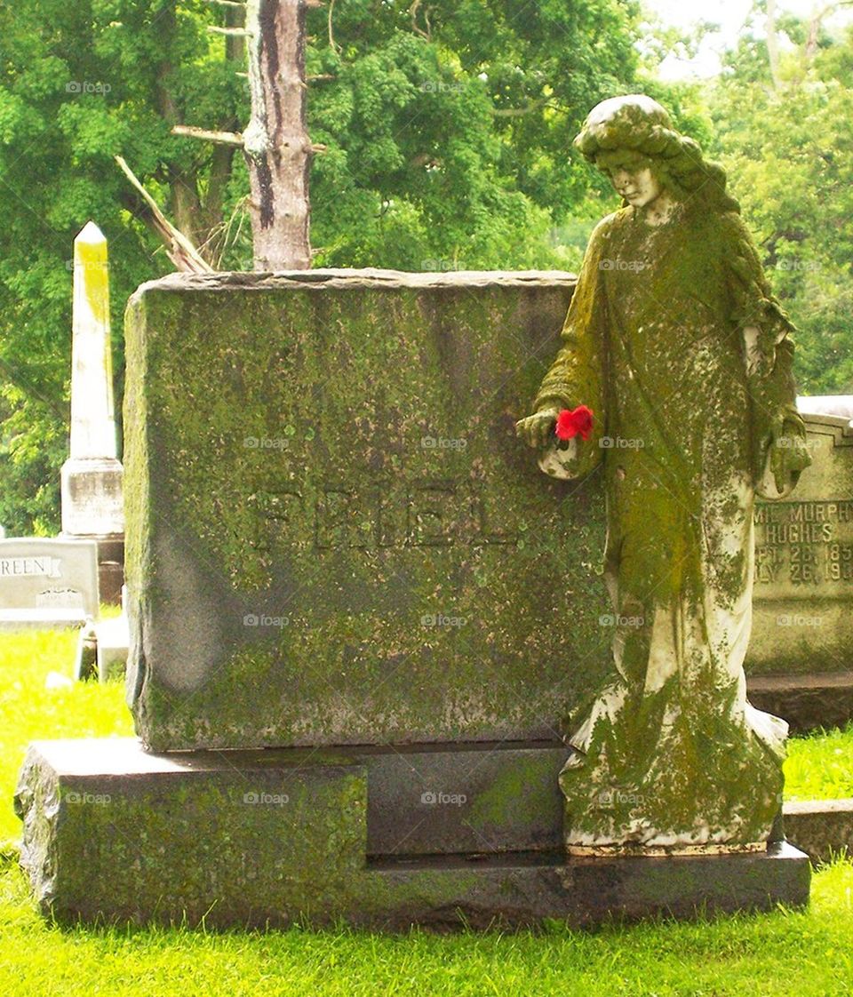 Red rose cemetery tomb beauty forever death woman grave love earth kindness