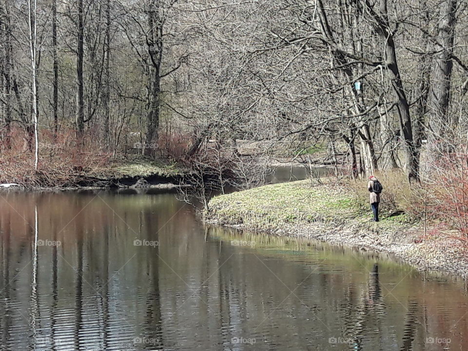 park spring time sun sunny colors colorful nature wild plants flowers amazing stunning cool nice weather hot lovely sky forest grass view splendid