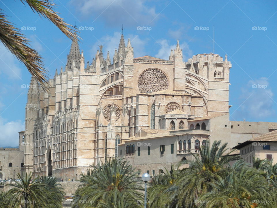 Palma cathedral