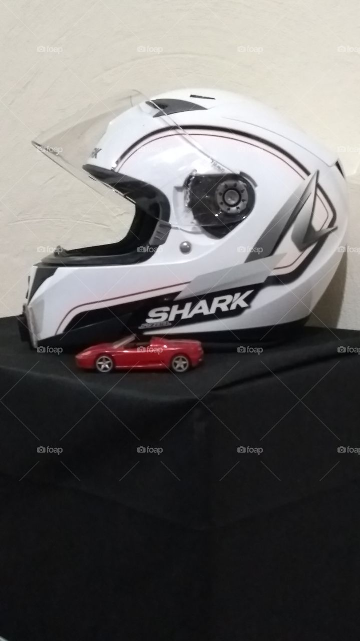Shark