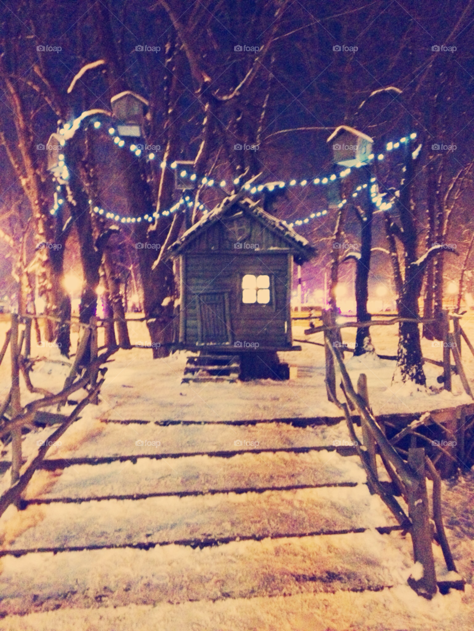 snow winter trees house by ProshaPro