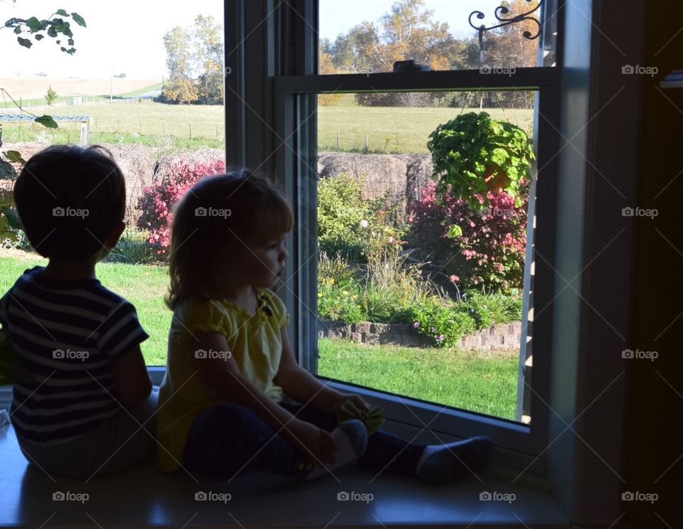 Silhouettes of my babes looking out at the garden.