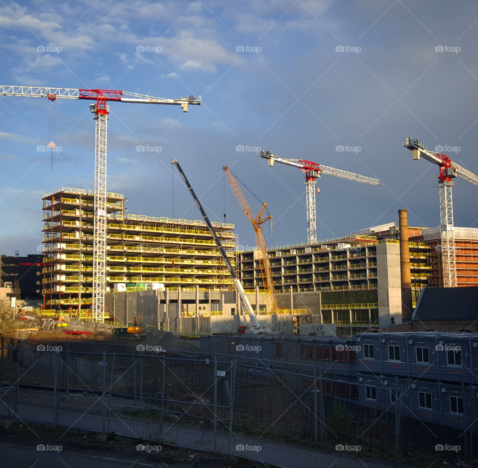 Cranes construction buildings