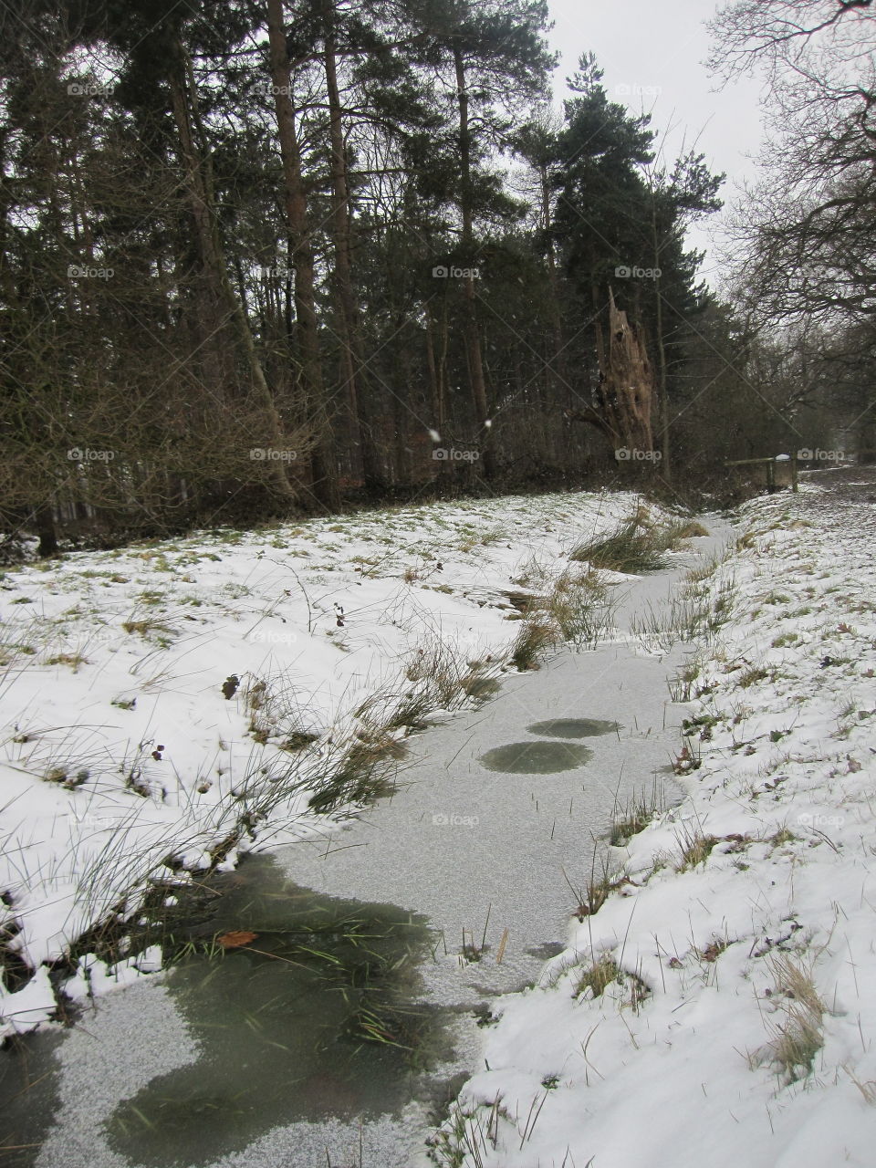 Frozen Stream