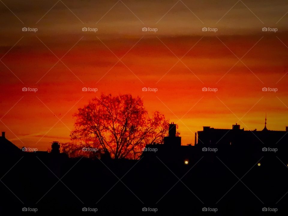 sunrise in the netherlands