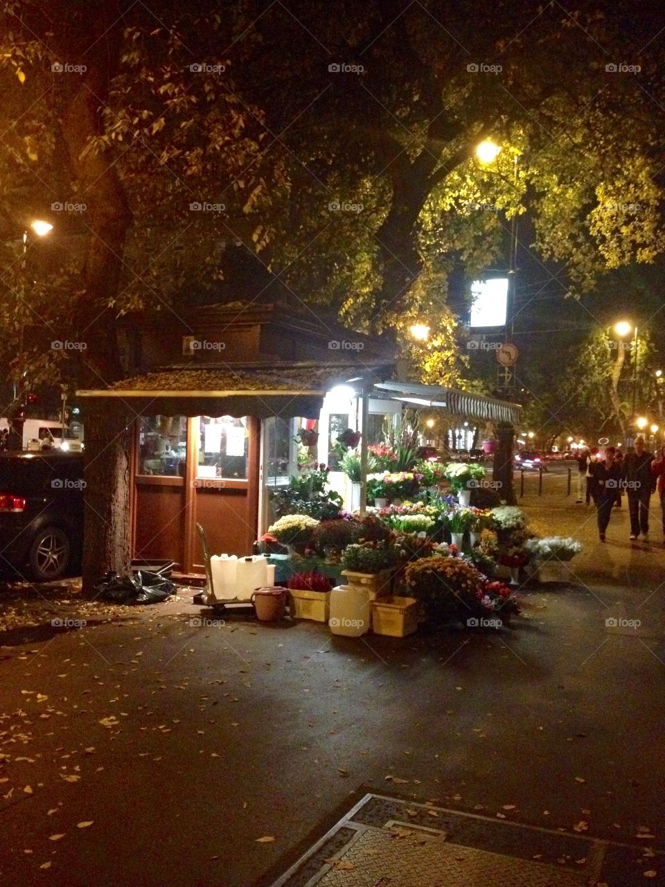 Flower shop in the late night in a street of Budapest 