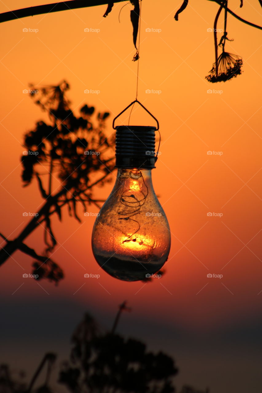 #sun through light bulb #sunset #horizon #illusion