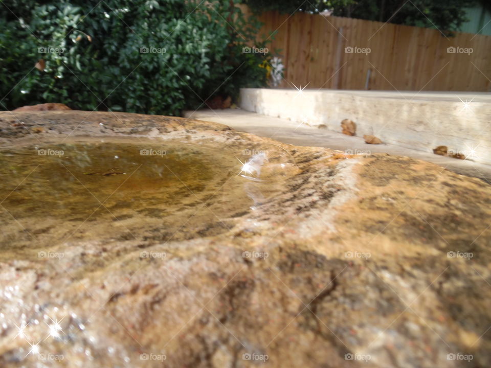 bubbles. This is a picture of a smooth stone that sits in a flower garden. 👣 🚶 🏃 🔥 💨