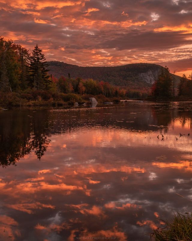 natural pictures
