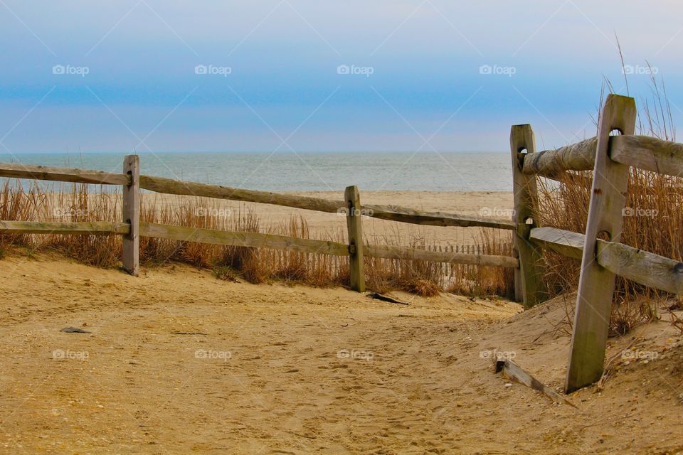 Beach path in Cape May, NJ. 