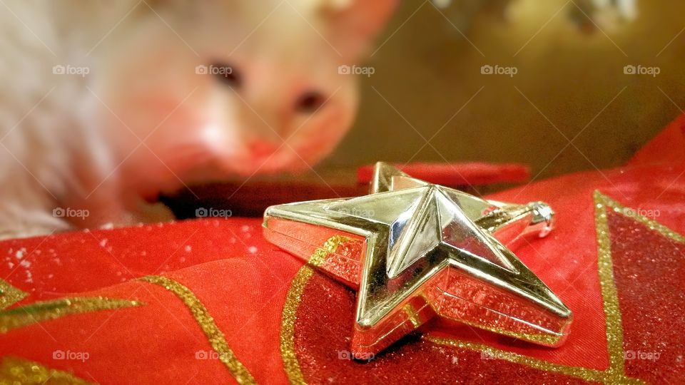 Christmas tree decoration with cat in background