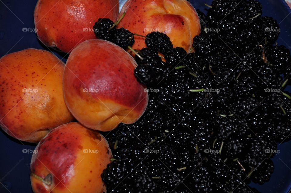 fruit and berry mix - mulberries and apricots