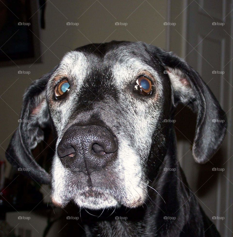 our beautiful Lady Bug