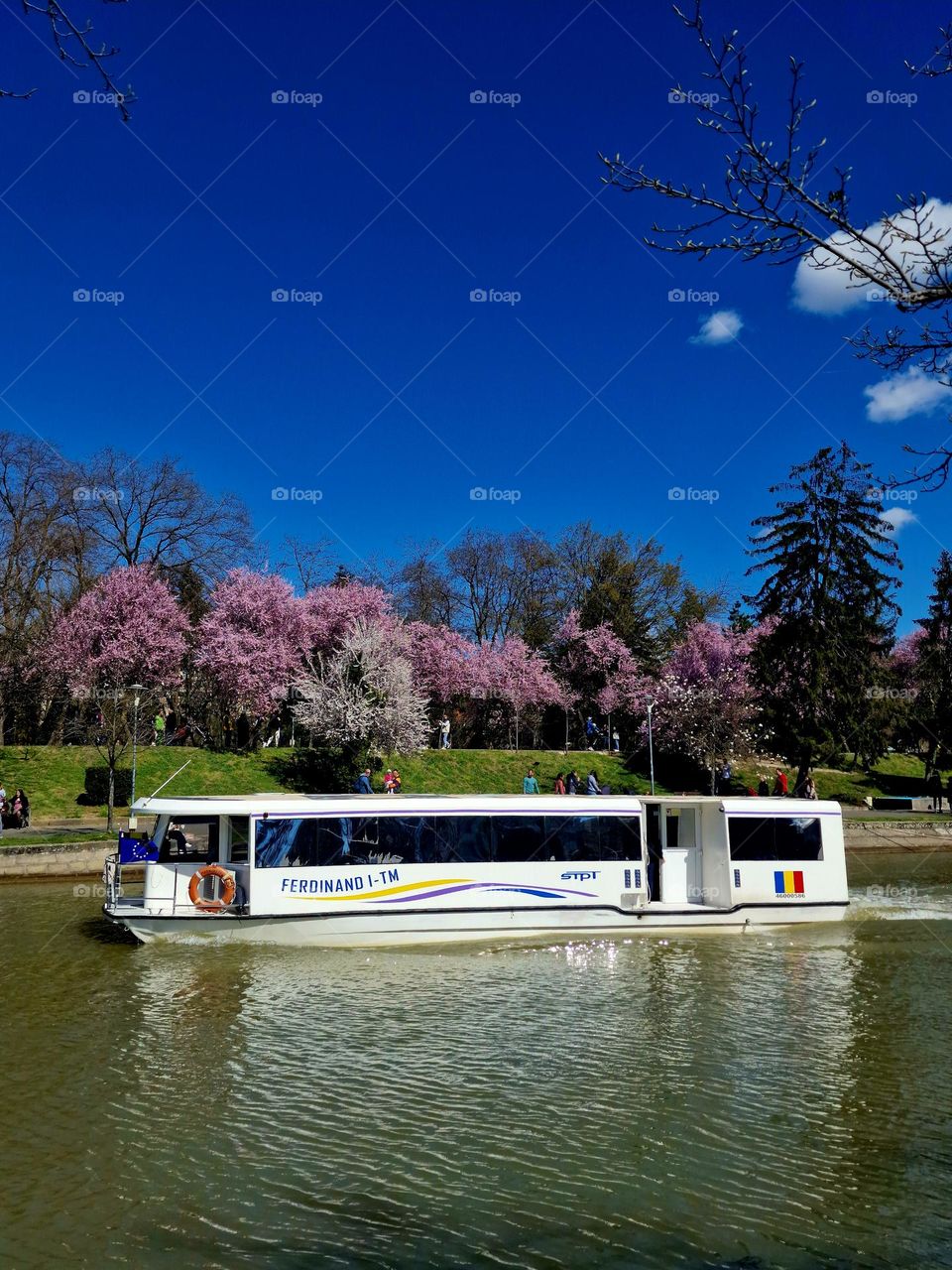 public and leisure transport with steamboats, on the Bega river