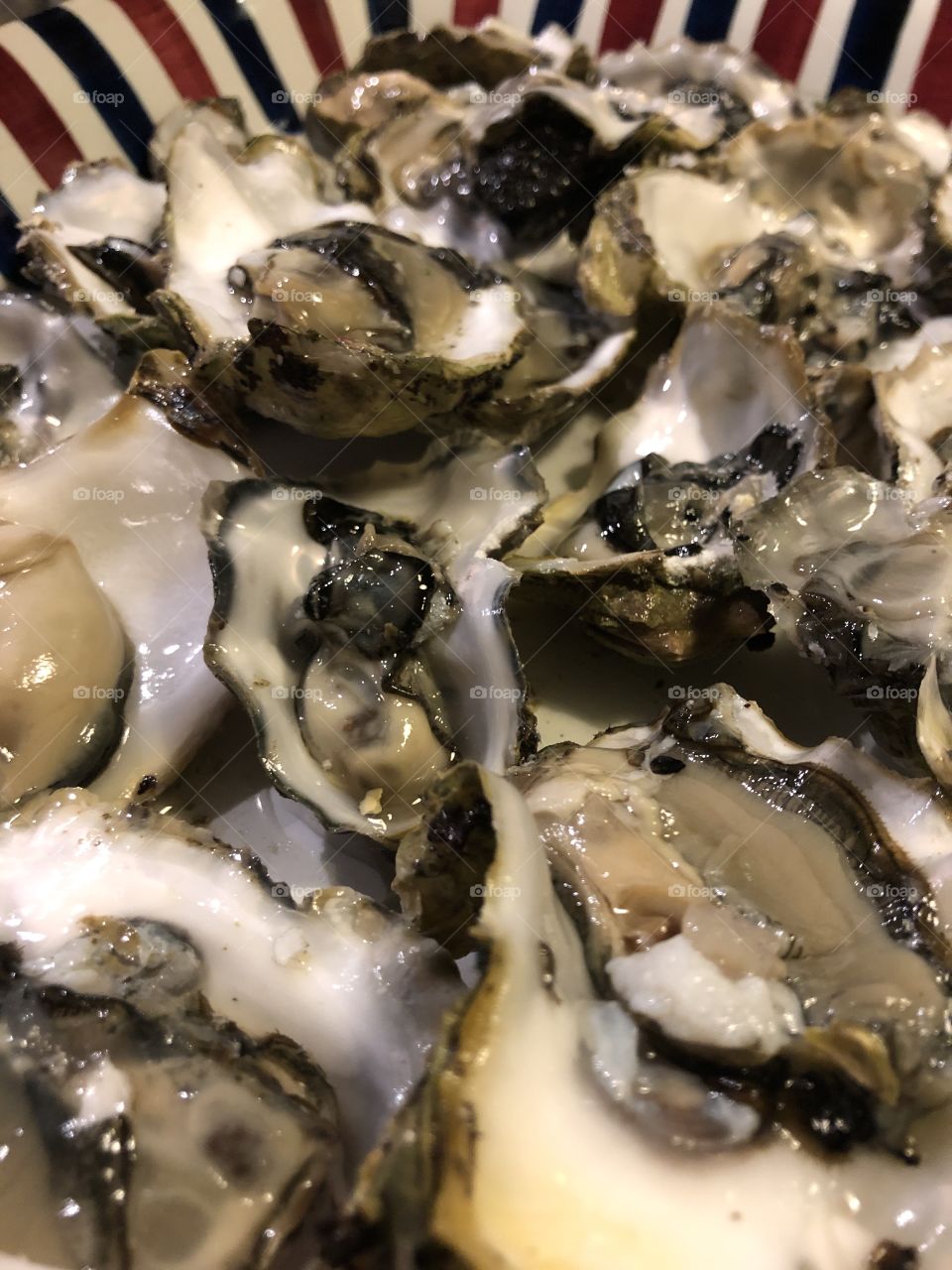 Oysters