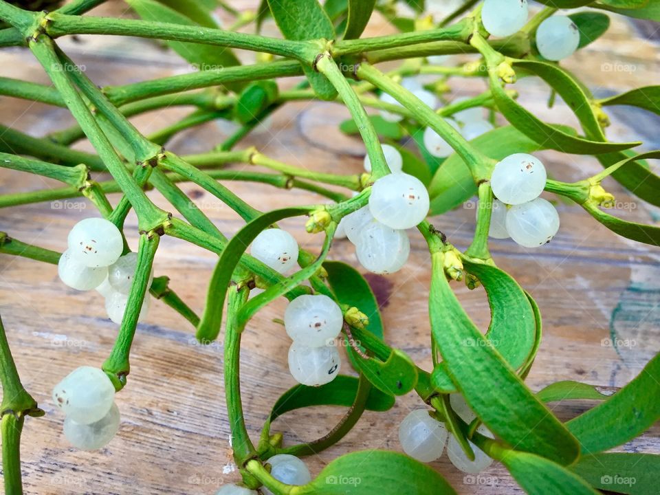 White and green