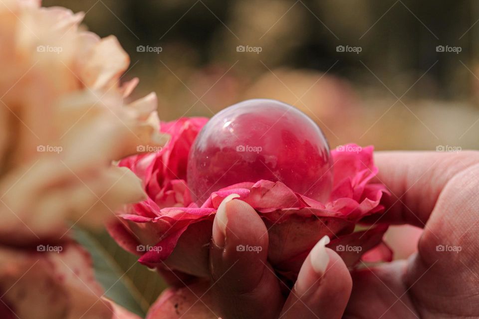A crystal ball in a flower in petals