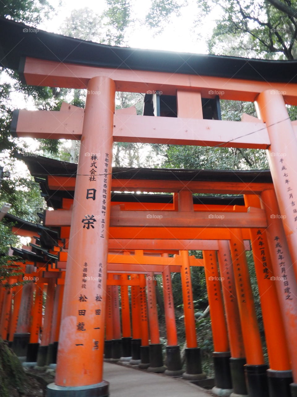 Torii gates in Kyoto