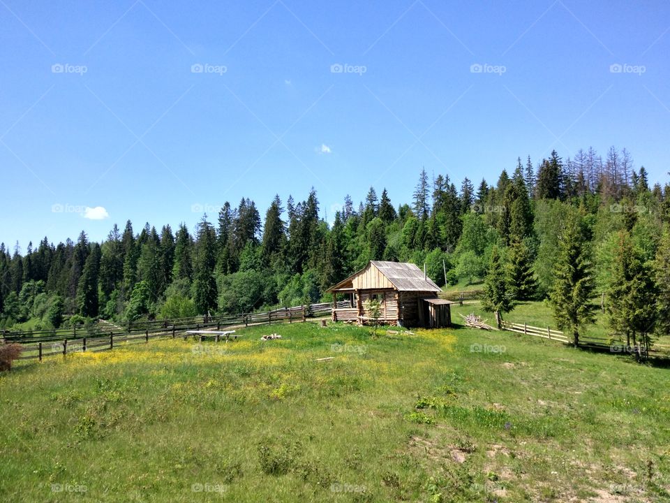 Carpathian mountains landscape