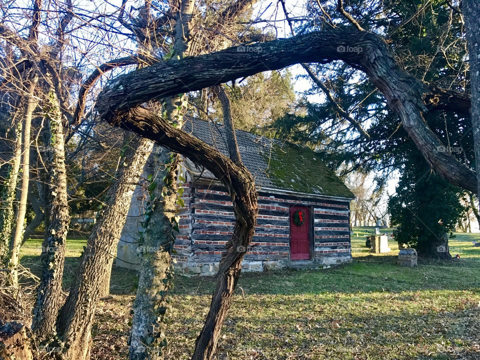 Cabin view through branches