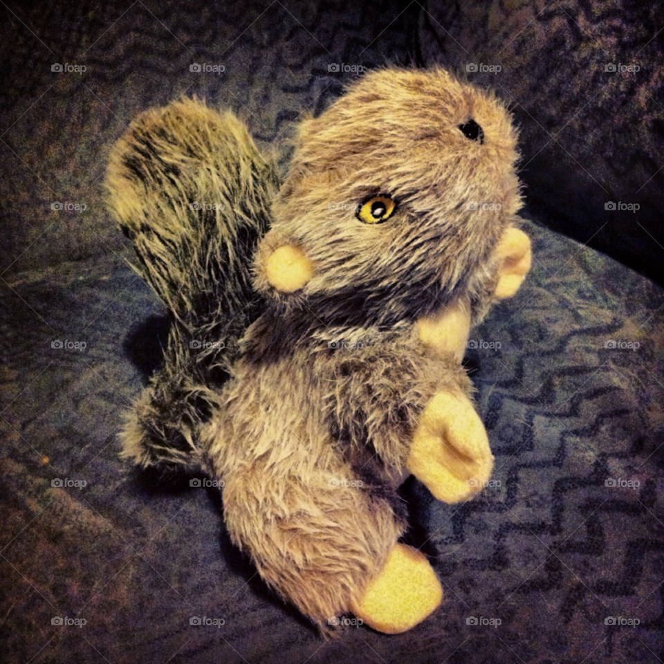 animal toy squirrel funny by Zita