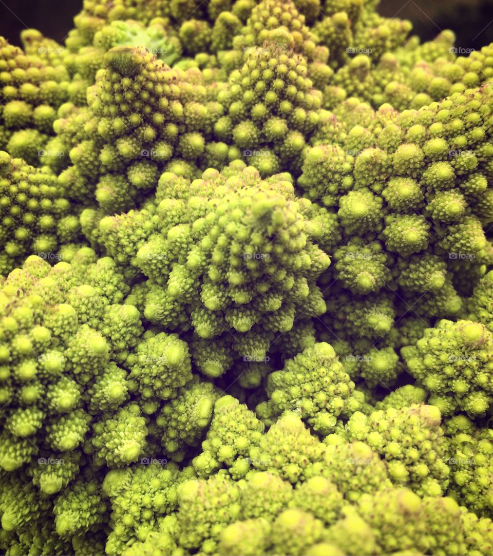 Romanesco Cauliflower 