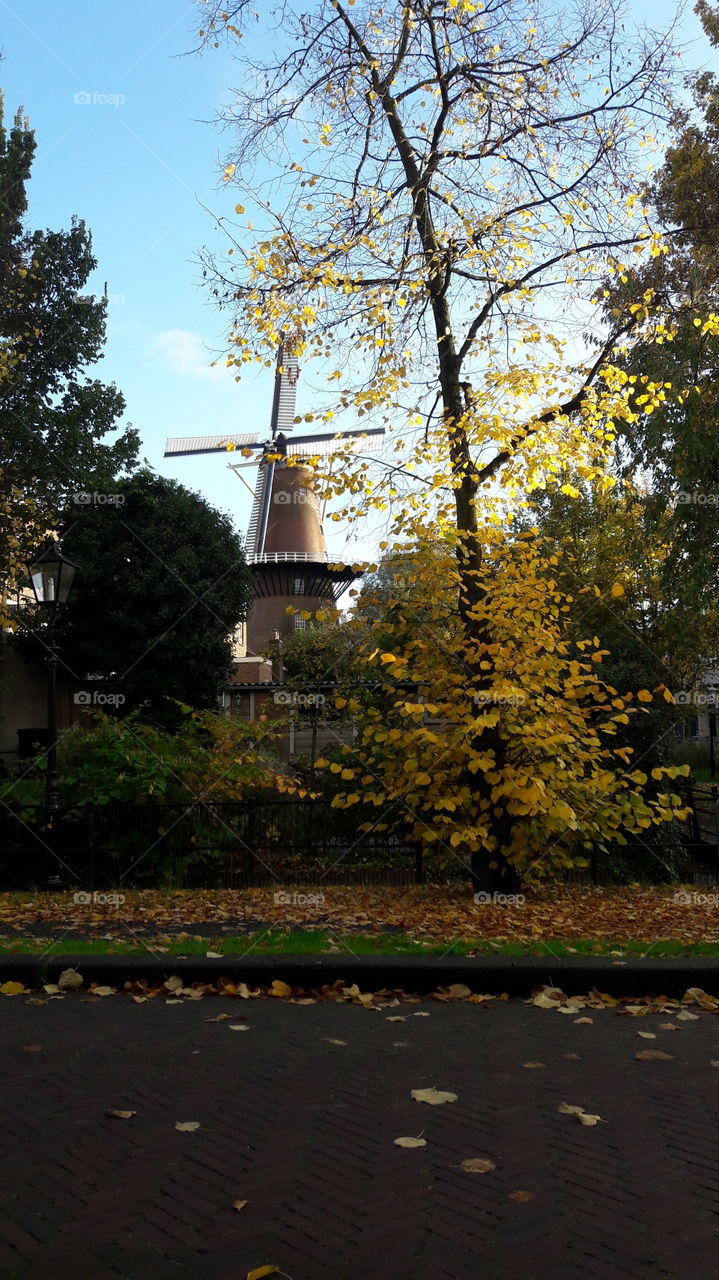 old windmill molen holland Utrecht autumn
