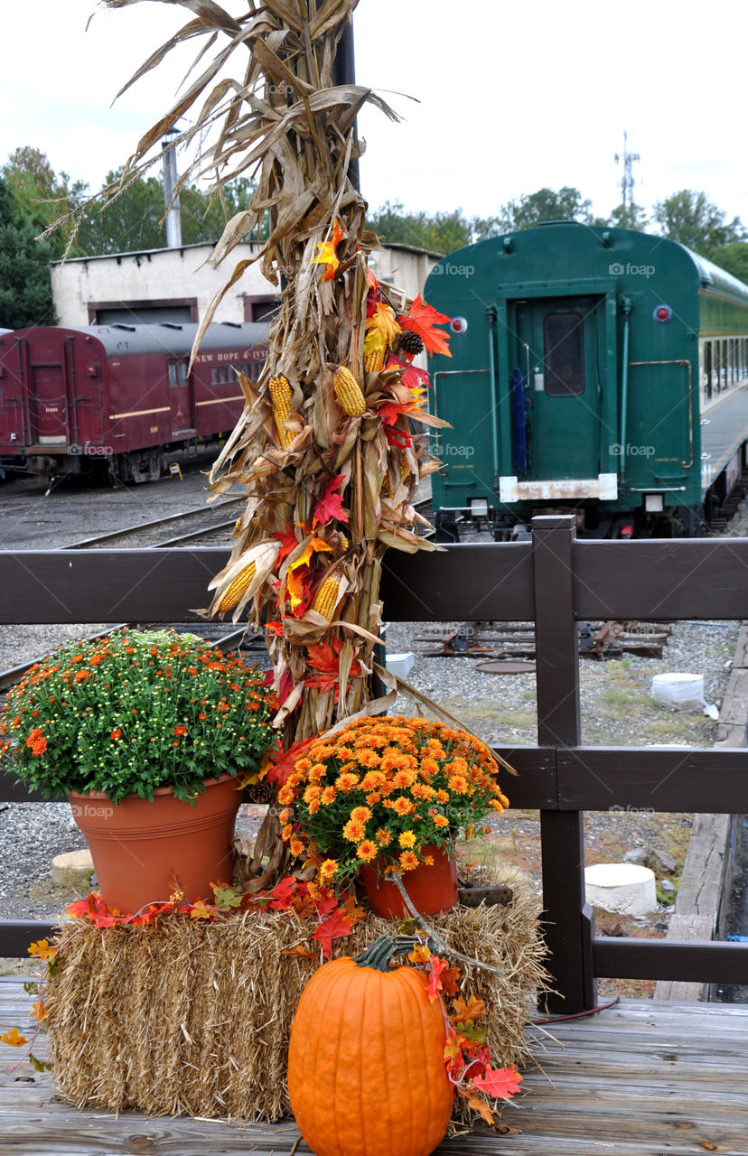 New Hope Ivyland Station in the Fall